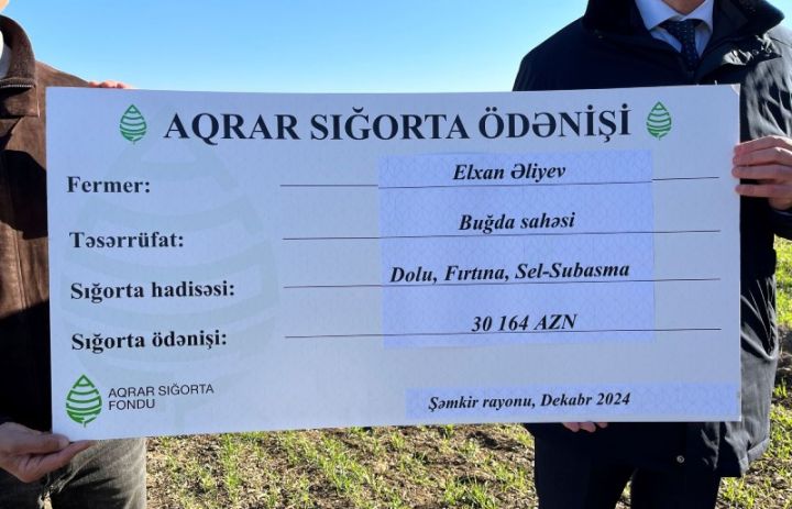 Fermerə məxsus buğda və arpa əkini sahəsinə dəyən zərər üzrə 32 min 639 manat ödəniş edilib